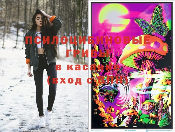 стафф Зеленокумск