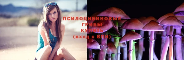 мяу мяу мука Зерноград
