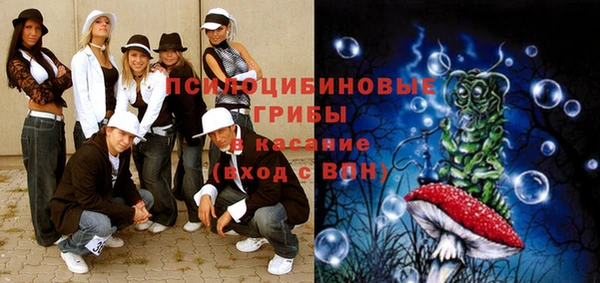 мяу мяу мука Зерноград