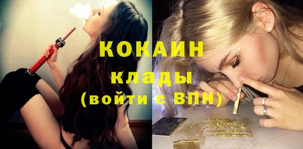 стафф Зеленокумск